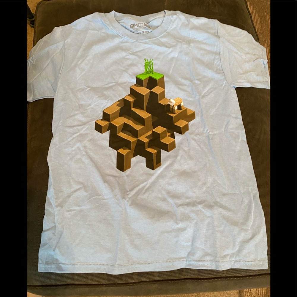 Minecraft T-shirt NWOT